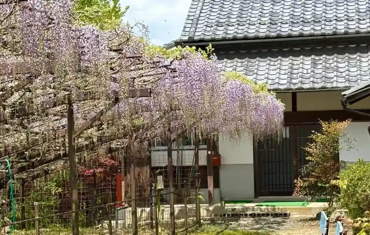 正法寺の{uncategorized: "未分類", other: "その他", undefined: "問題あり", building: "その他建物", grave: "お墓", sacred_gate: "鳥居", guardian: "狛犬", statue: "像", buddha: "仏像", history: "歴史", nature: "自然", garden: "庭園", animal: "動物", pagoda: "塔", temizu: "手水舎", mountain_gate: "山門・神門", sanctuary: "本殿・本堂", subordinate: "末社・摂社", art: "芸術", scenery: "景色", jizo: "地蔵", ema: "絵馬", goshuin: "御朱印", omikuji: "おみくじ", items: "授与品その他", amulet: "お守り", goshuincho: "御朱印帳", eats: "食事", festival: "お祭り", votive_dance: "神楽", shichigosan: "七五三参", wedding: "結婚式", experience: "体験その他", initially: "初詣", around: "周辺", anti_infection: "感染症対策"}