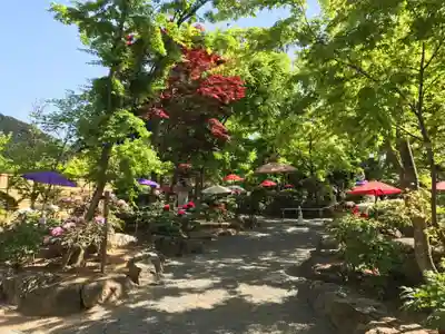 宝徳寺(群馬県)