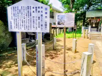 王子神社(千葉県)