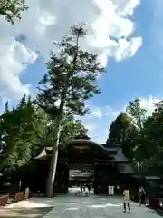 大國魂神社(東京都)