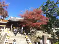 修禅寺の山門・神門