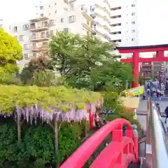 亀戸天神社(東京都)