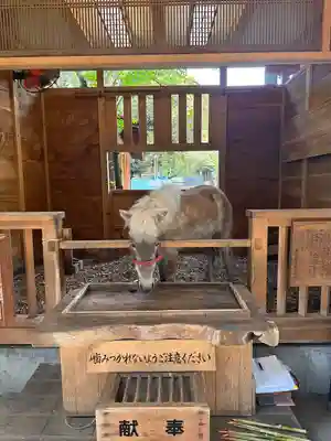 平塚八幡宮(神奈川県)