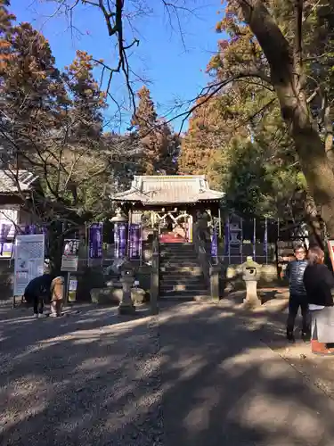 下野 星宮神社(栃木県)