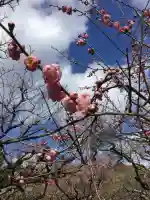 北野天満宮(京都府)