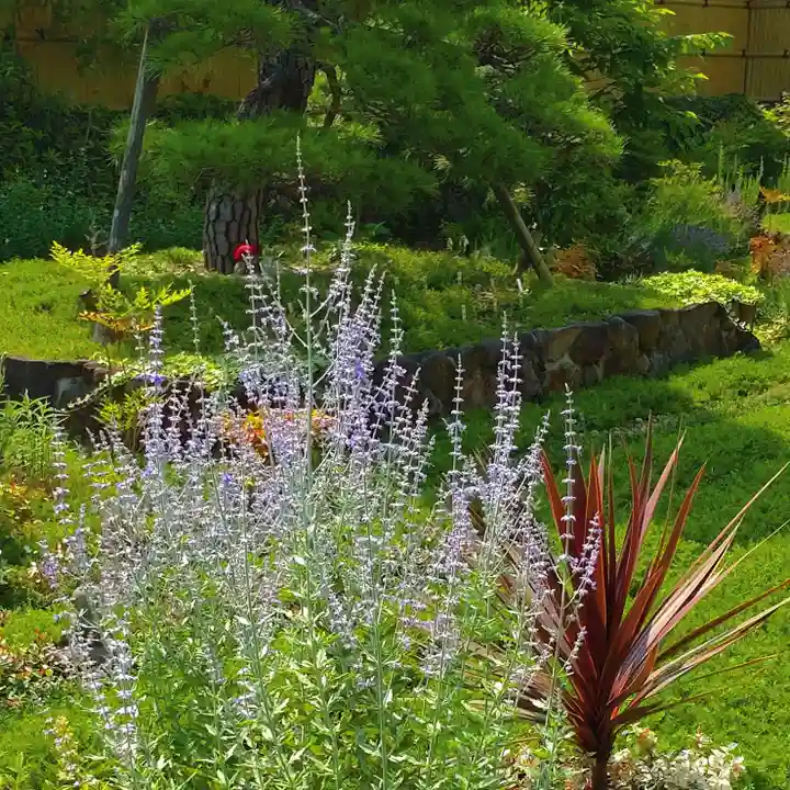 寿量山 速成寺の庭園