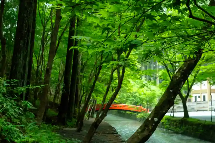 小國神社(静岡県)