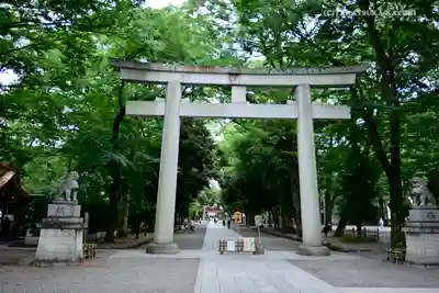 大國魂神社の鳥居