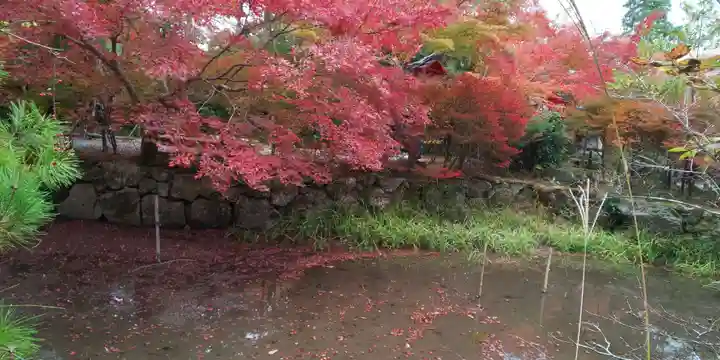 鍬山神社の自然