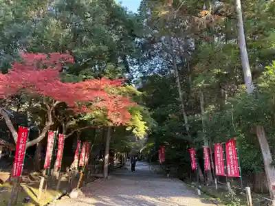 醍醐寺(京都府)