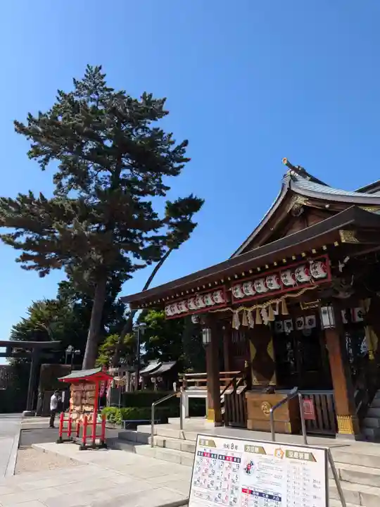 中野沼袋氷川神社(東京都)