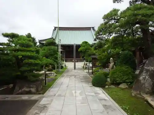 徳願寺の本殿・本堂