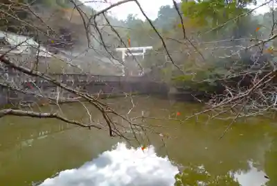 安房神社(千葉県)