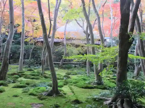 祇王寺(京都府)