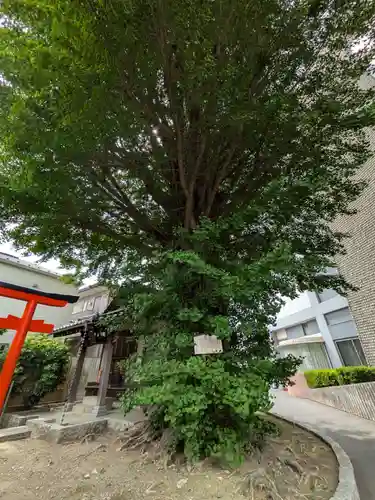 稼穡稲荷社(東京都)
