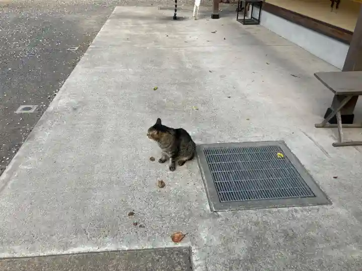 所澤神明社(埼玉県)
