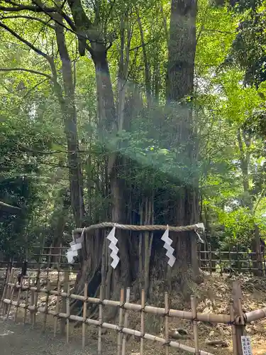 大國魂神社(東京都)