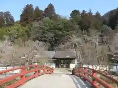 室生寺の建物その他