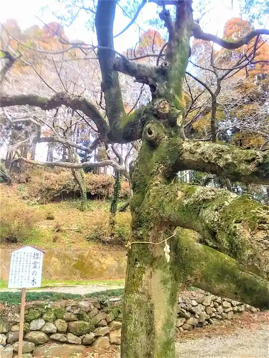 男女神社の自然