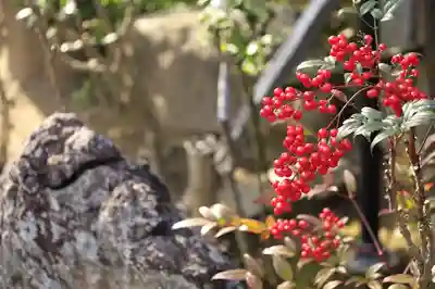 松花堂 泰勝寺(京都府)