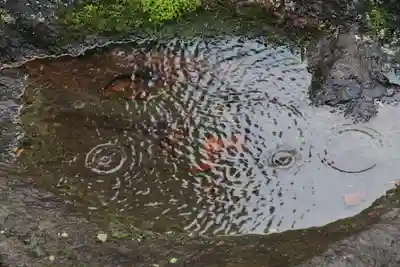 大鏑神社の手水舎