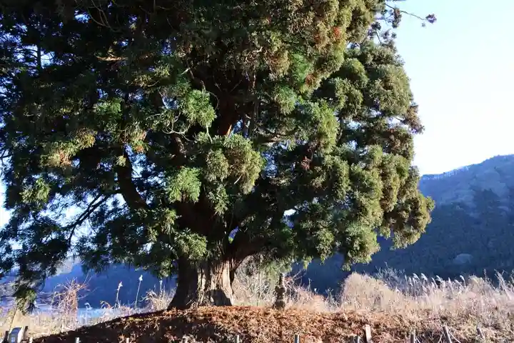 御札神社の周辺