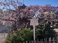 西新井大師総持寺の歴史