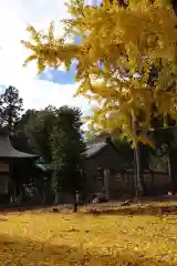 石津十禅師 日吉神社（新旭町針江）(滋賀県)