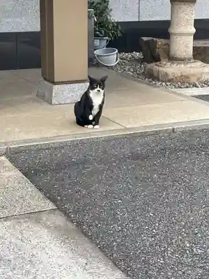 白金氷川神社(東京都)