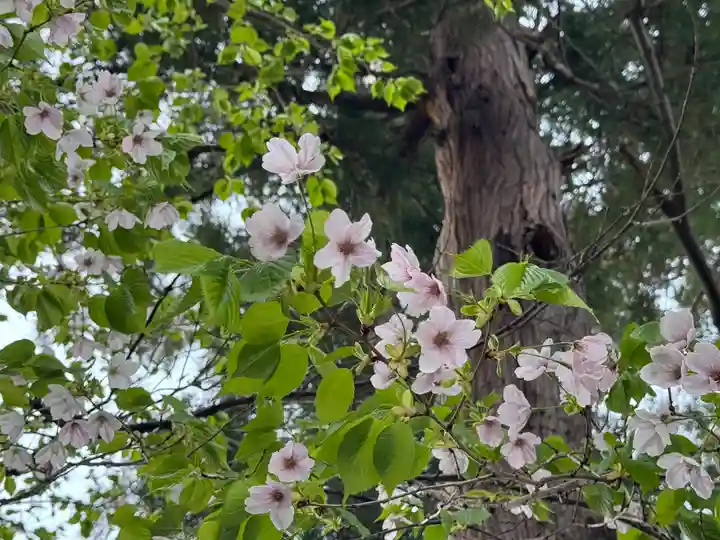 三島八幡神社(福島県)