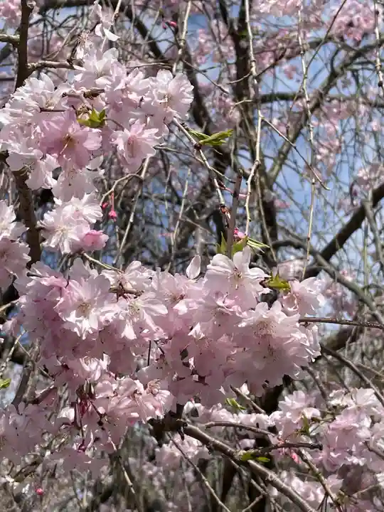 御霊神社(奈良県)