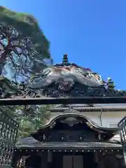 妙法寺(東京都)