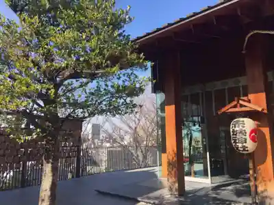 赤城神社のその他建物