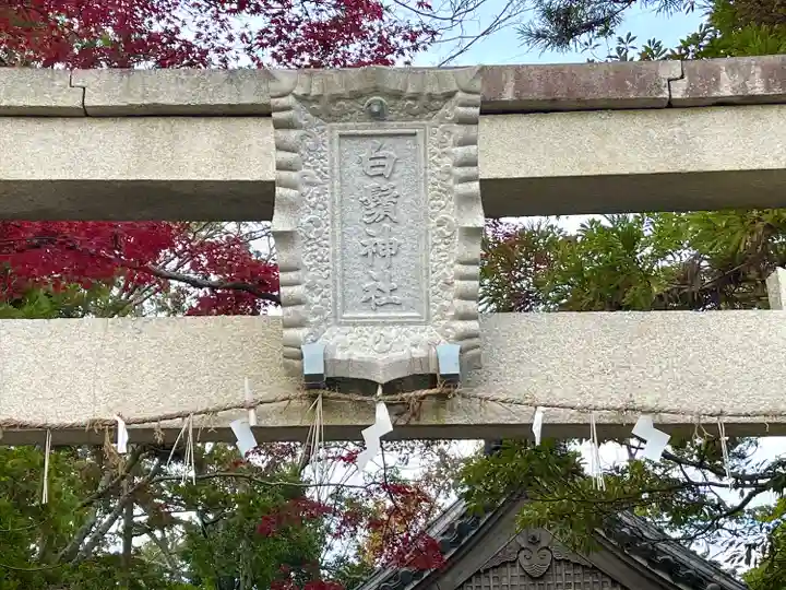 白鬚神社(滋賀県)