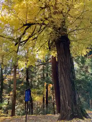 国上寺(新潟県)