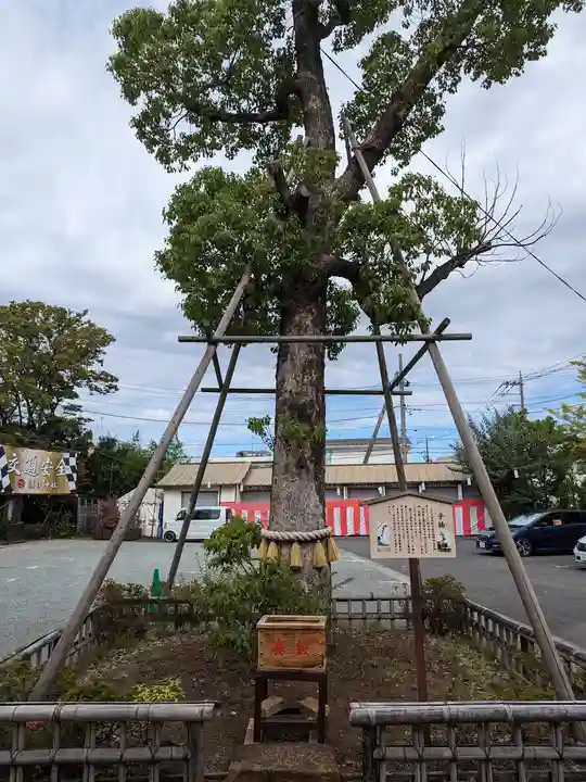 溝口神社(神奈川県)