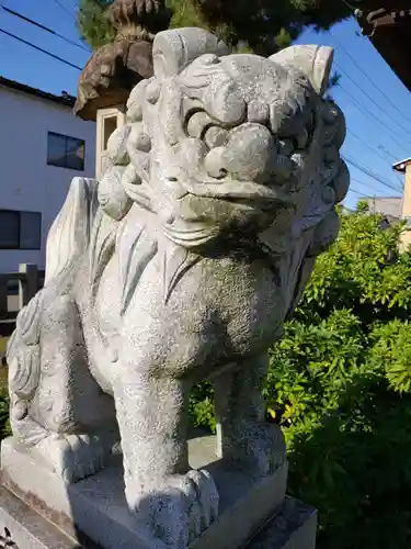 金比羅神社の狛犬