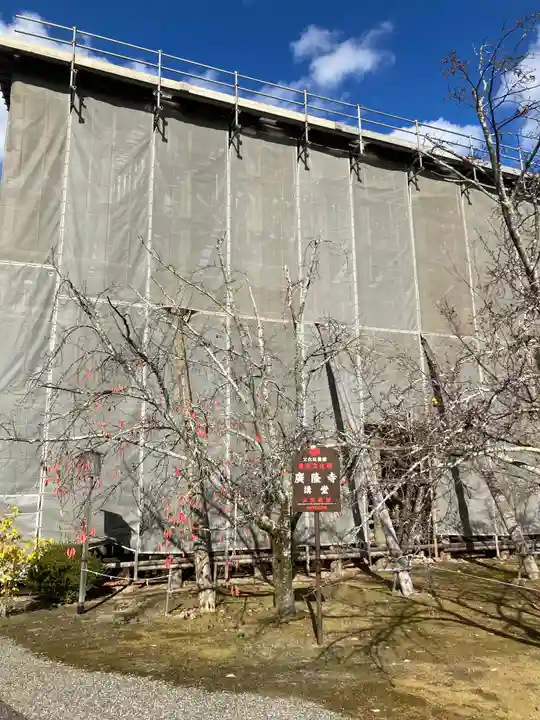 廣隆寺(京都府)
