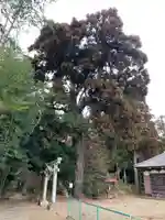 保食神社(千葉県)