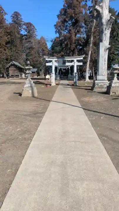 八幡宮の{uncategorized: "未分類", other: "その他", undefined: "問題あり", building: "その他建物", grave: "お墓", sacred_gate: "鳥居", guardian: "狛犬", statue: "像", buddha: "仏像", history: "歴史", nature: "自然", garden: "庭園", animal: "動物", pagoda: "塔", temizu: "手水舎", mountain_gate: "山門・神門", sanctuary: "本殿・本堂", subordinate: "末社・摂社", art: "芸術", scenery: "景色", jizo: "地蔵", ema: "絵馬", goshuin: "御朱印", omikuji: "おみくじ", items: "授与品その他", amulet: "お守り", goshuincho: "御朱印帳", eats: "食事", festival: "お祭り", votive_dance: "神楽", shichigosan: "七五三参", wedding: "結婚式", experience: "体験その他", initially: "初詣", around: "周辺", anti_infection: "感染症対策"}