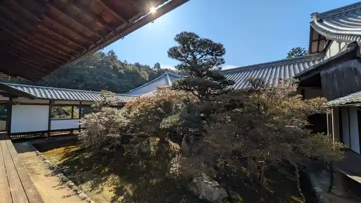 隨心院(随心院)(京都府)
