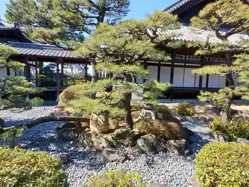 十輪寺の庭園