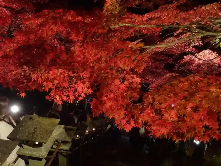 大山寺(神奈川県)