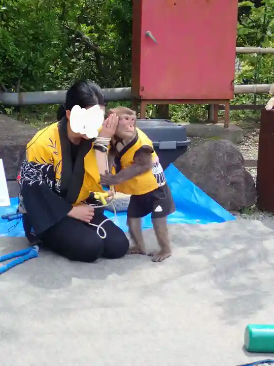 大船観音寺(神奈川県)