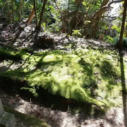 八幡神社の自然