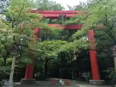 冠稲荷神社の鳥居