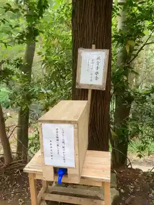 香取神宮の手水舎