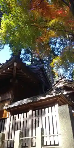 猿丸神社の自然
