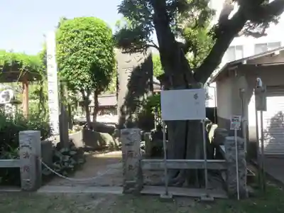 慈眼寺(東京都)