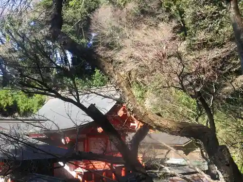 荏柄天神社のその他建物